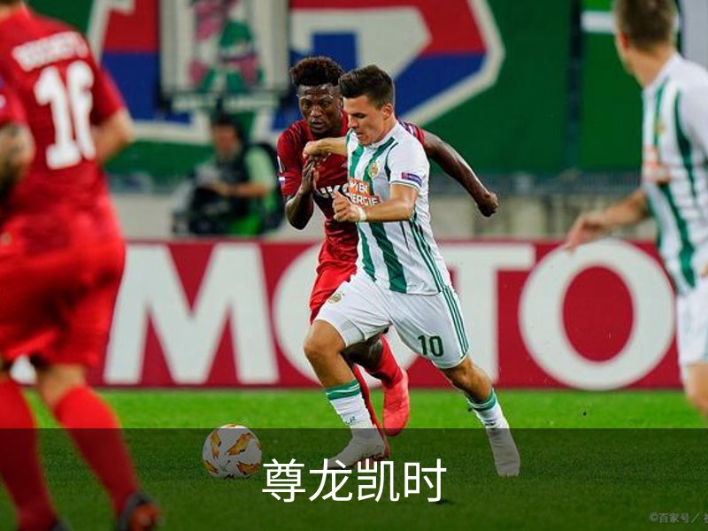 了解尊龙凯时
